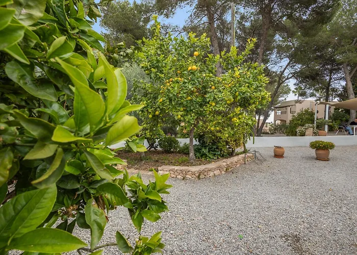 3 Golondrinas 3* Santa Eularia des Riu