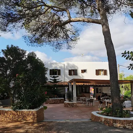 Konukevi 3 Golondrinas Santa Eularia des Riu
