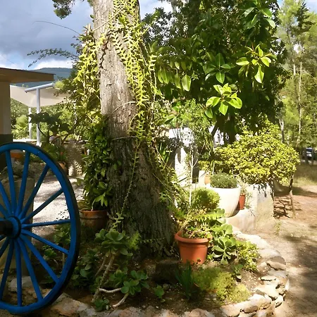 3 Golondrinas Guest house